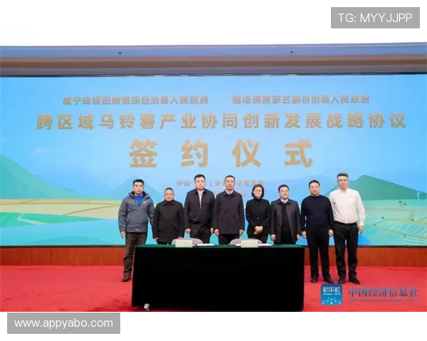 亚搏全站技术创新动态，推动行业发展迈向新高度