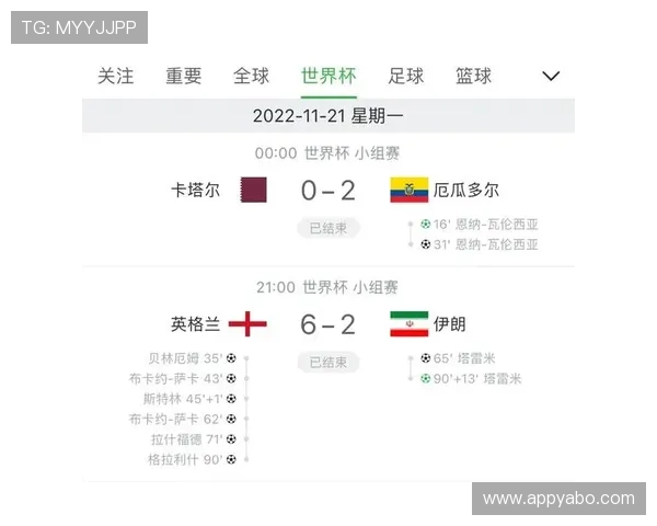 世界杯荷兰对日本比分表下载，掌握最新比赛结果与关键数据，助力足球爱好者深入分析